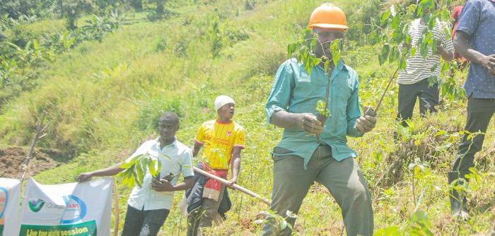 Planters on a hillside in Uganda